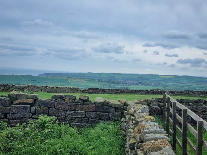 Boulby Cliffs