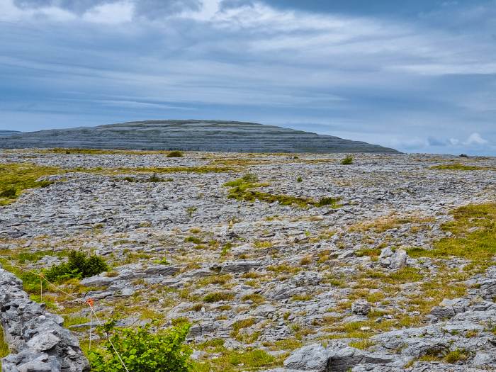 Burren