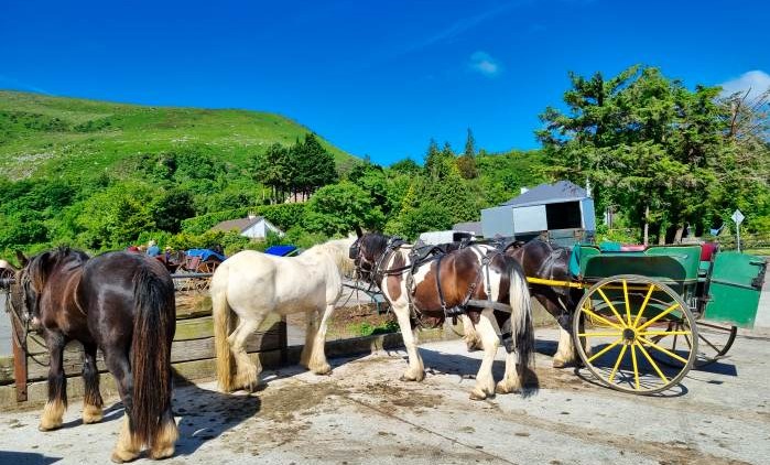 Kann man durch das Gap of Dunloe radeln