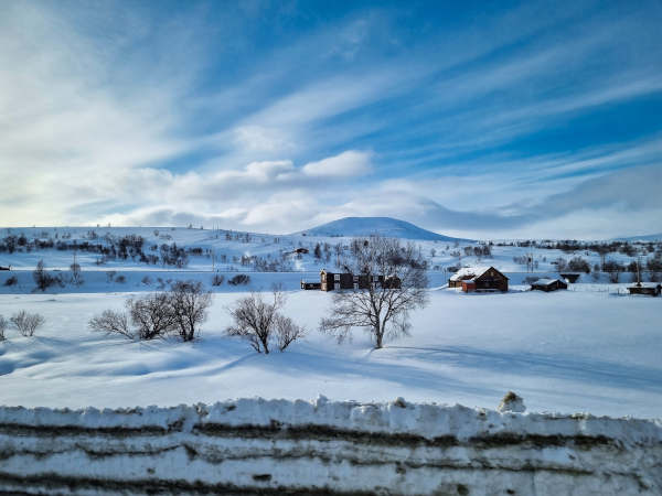 Dovrefjell in Norwegen