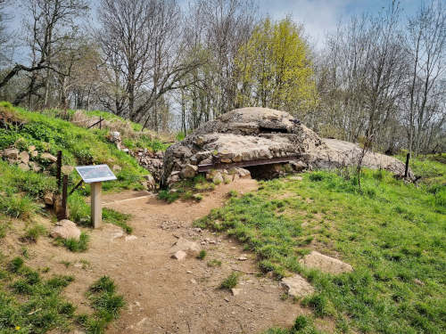 Hartmannsweilerkopf