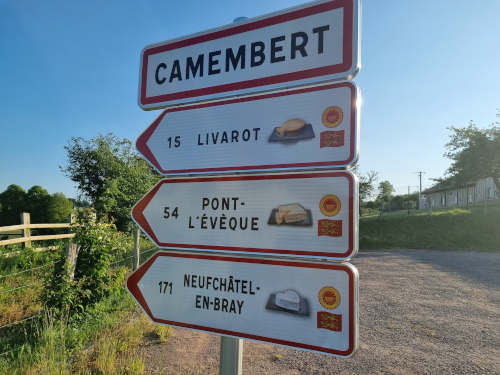 Camembert