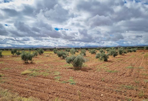 Region La Mancha in Spanien