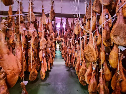 Schinkenmuseum Del Jamon de Trevelez