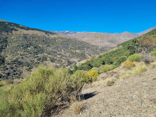 Gipfel der Sierra Nevada