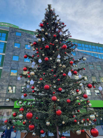 Weihnachtsbaum