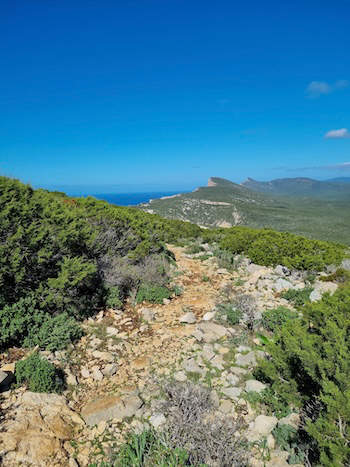 Capo Caccia Wanderweg