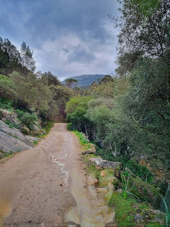 Fahrstraße auf Sardinien