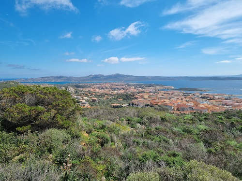 Blick auf die Stadt La Maddalena