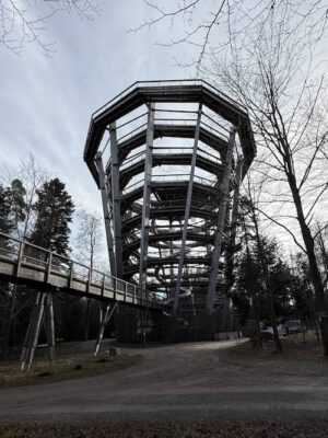 Baumwipfelturm in Bad Wildbad