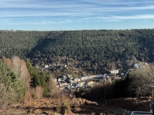 Blick auf Bad Wildbad