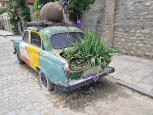 Bepflanztes Auto