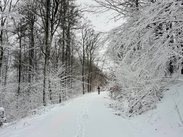 Winterwanderung im Harz