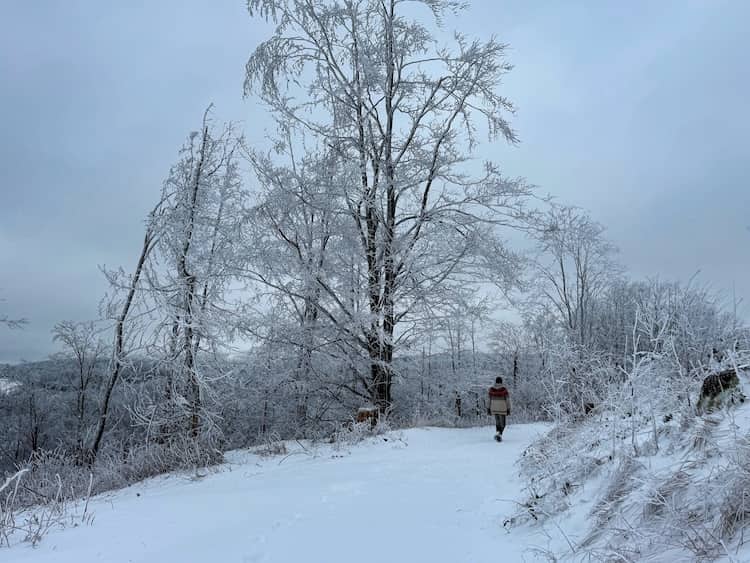Winterwanderung im Harz