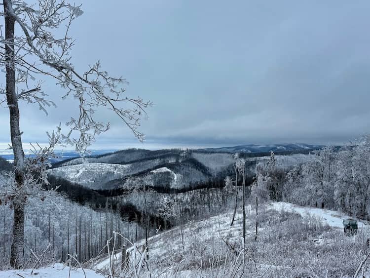 Ausicht vom Ravensberg-Turm