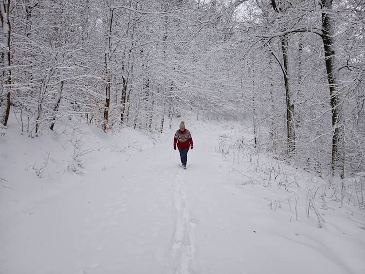 Winterwanderung im Harz