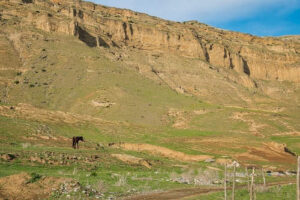 Könnte auch in der Mongolei sein