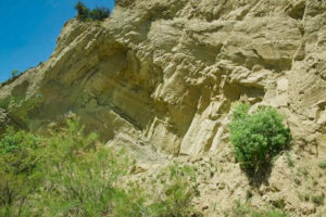 Restricted Nature Reserve Nationalpark Georgien