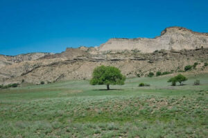 Restricted Nature Reserve Nationalpark Georgien