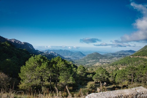 Sendero Garganta Verde