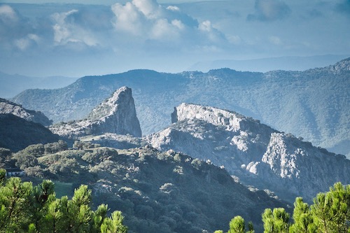 Sendero Garganta Verde