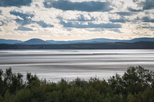 Laguna_de_Fuente_de_Piedra