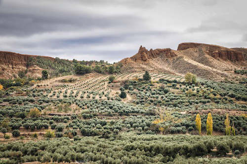 Landschaft um Marchal