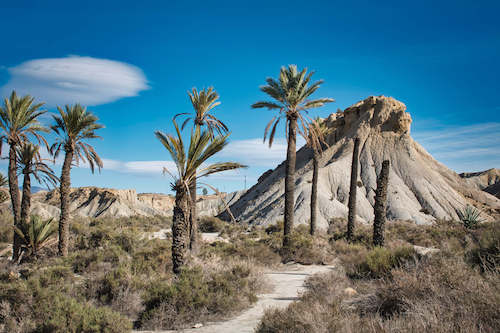 Wanderung durch die Wüstenlandschaft Tabernas