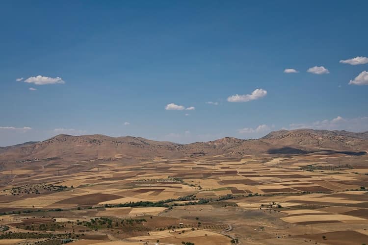 Wüstenähnliche Landschaft