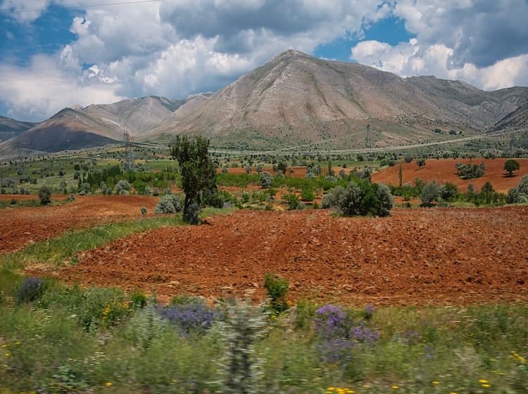 Landschaft mit roten Feldern
