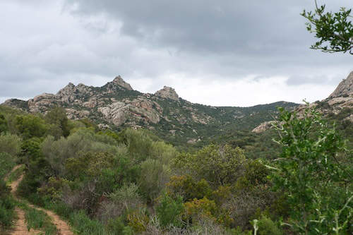 Sardinien