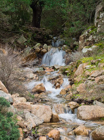 Bachlauf neben unserem Wanderweg