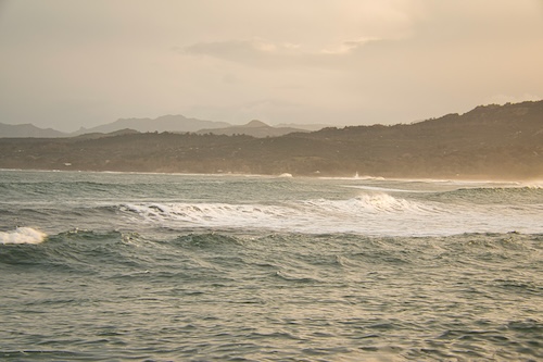 Das Meer auf Sardinen