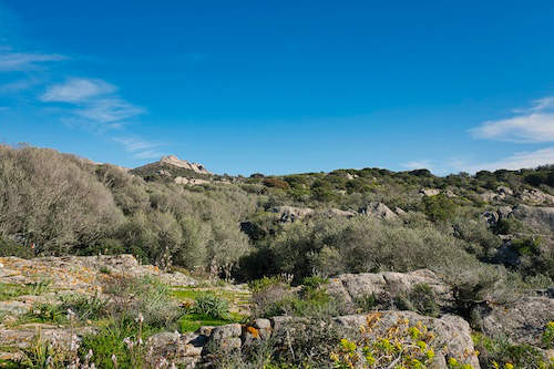 Insel La Maddalena