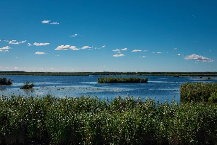 Drausensee