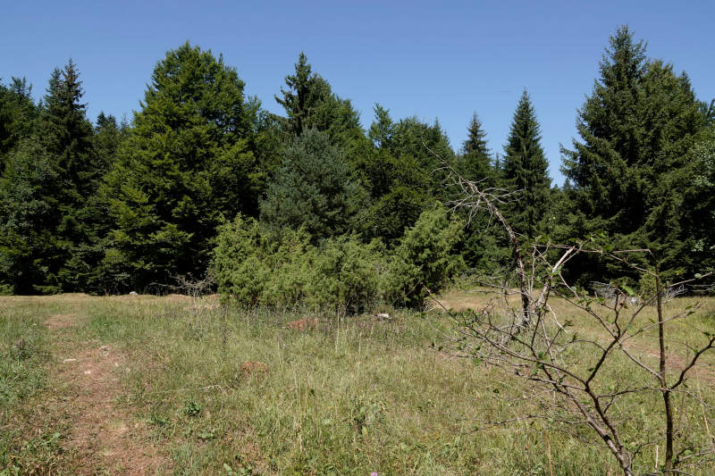 Wanderung Banjska Stena