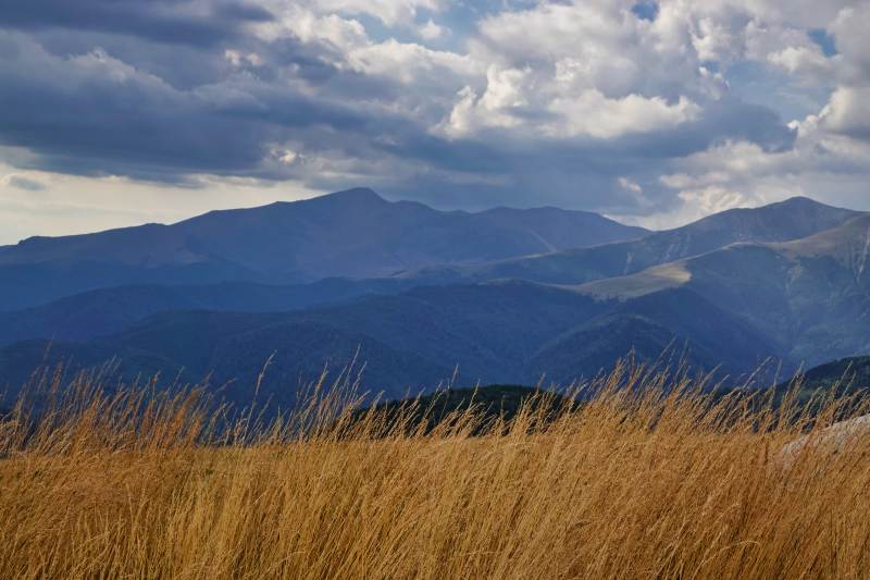 Transalpina