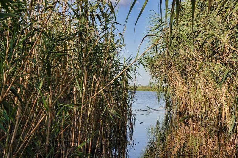 Donaudelta Bootsfahrt