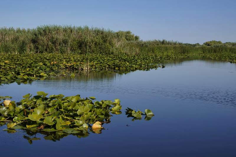 Donaudelta Bootsfahrt