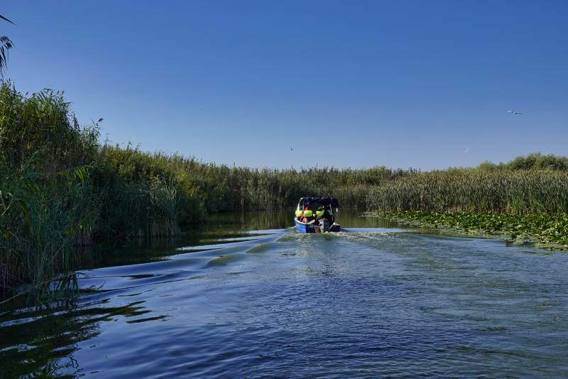 Donaudelta Bootsfahrt