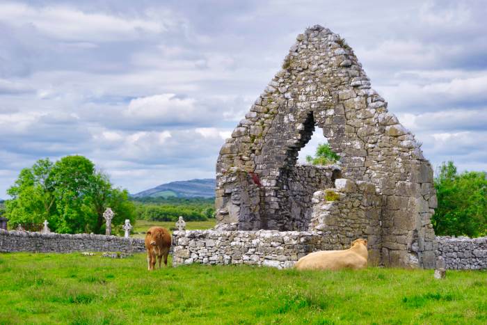 Klosteranlage Kilmacdaugh