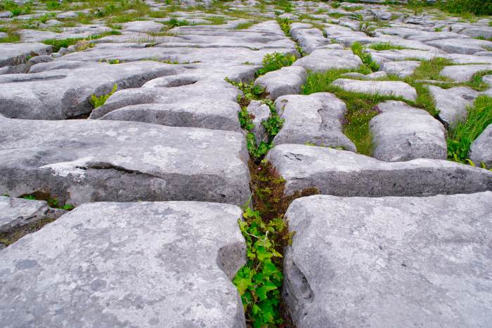 Burren