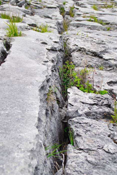 Burren